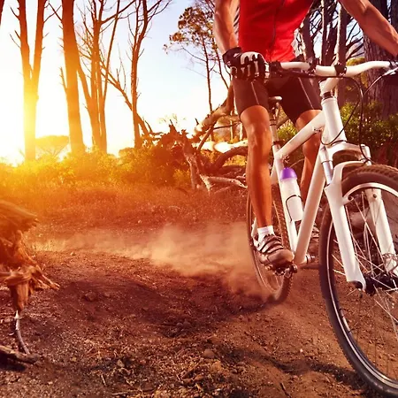 Schwarzwaldhof 3* Enzklösterle