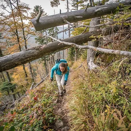 Schwarzwaldhof Enzklösterle