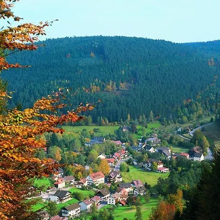 ホテル Schwarzwaldhof