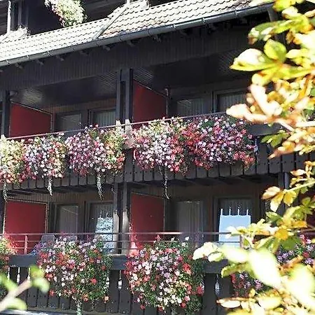 Otel Schwarzwaldhof 3*