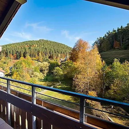 Otel Schwarzwaldhof 3*