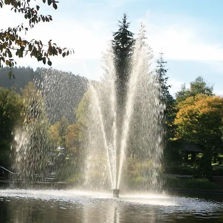 Schwarzwaldhof Otel Enzklösterle