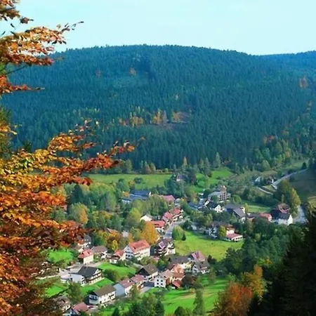 Schwarzwaldhof