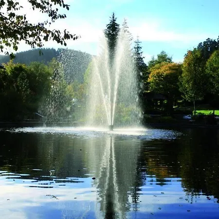 Otel Schwarzwaldhof 3*