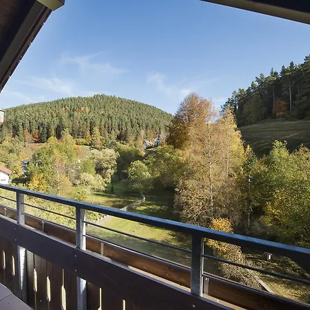 Hotel Schwarzwaldhof Enzklösterle