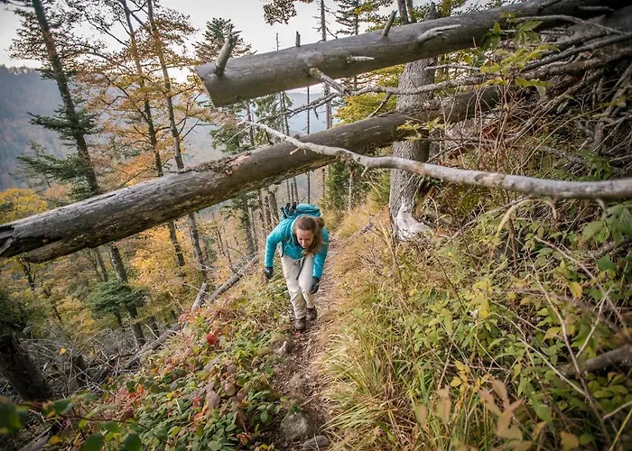 Schwarzwaldhof Enzklösterle