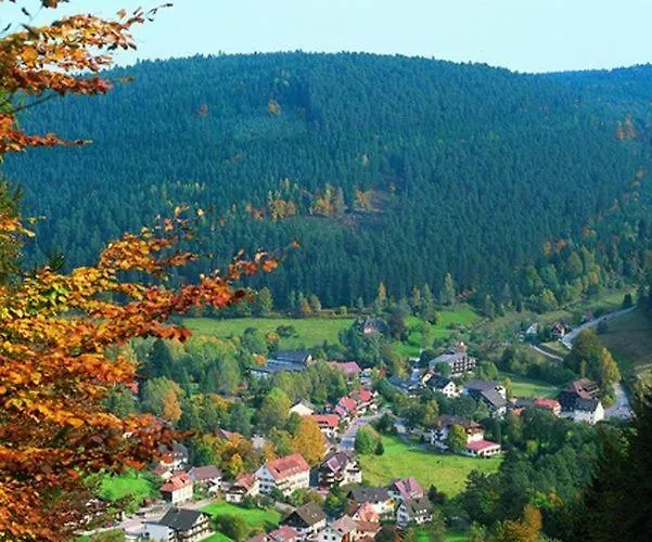 Hotel Schwarzwaldhof