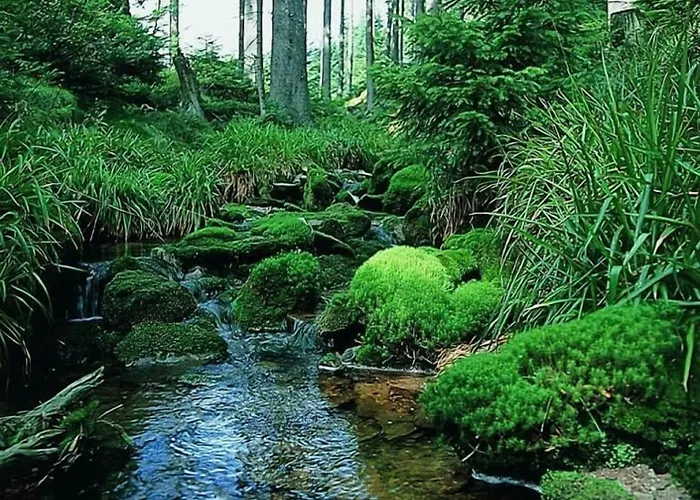 Schwarzwaldhof Hotel