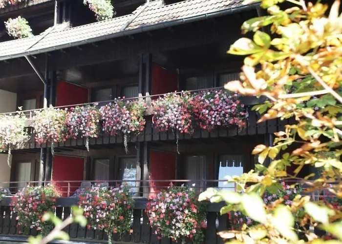 Schwarzwaldhof Enzklösterle